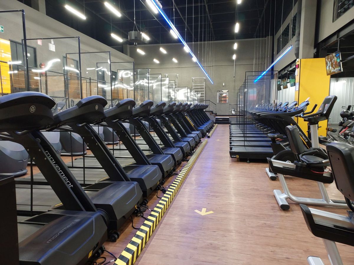 Rows of treadmills and exercise bikes on a wooden gym floor