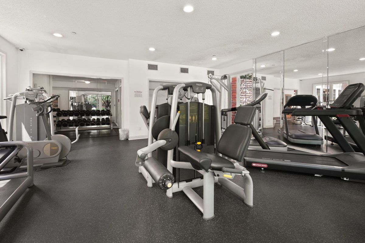 Bright gym floor with strength machines, treadmills and a dumbbell rack