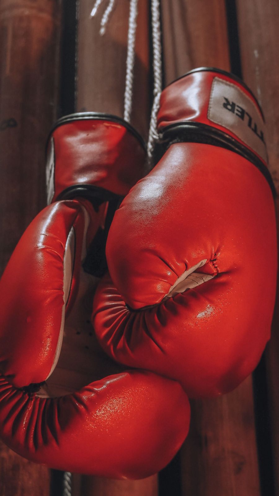 Red boxing gloves hanging on a wall